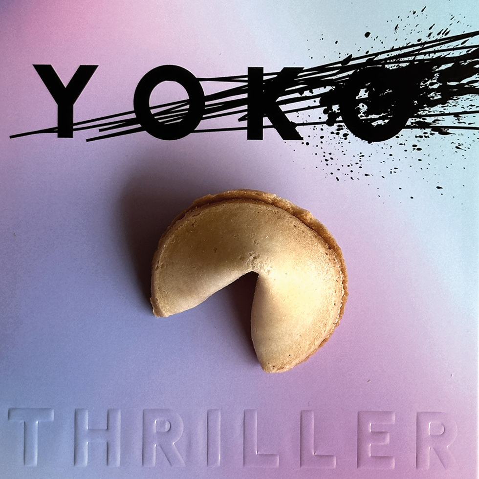 Der Thriller YOKO