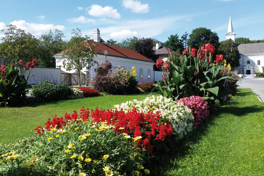 Park in Halbturn