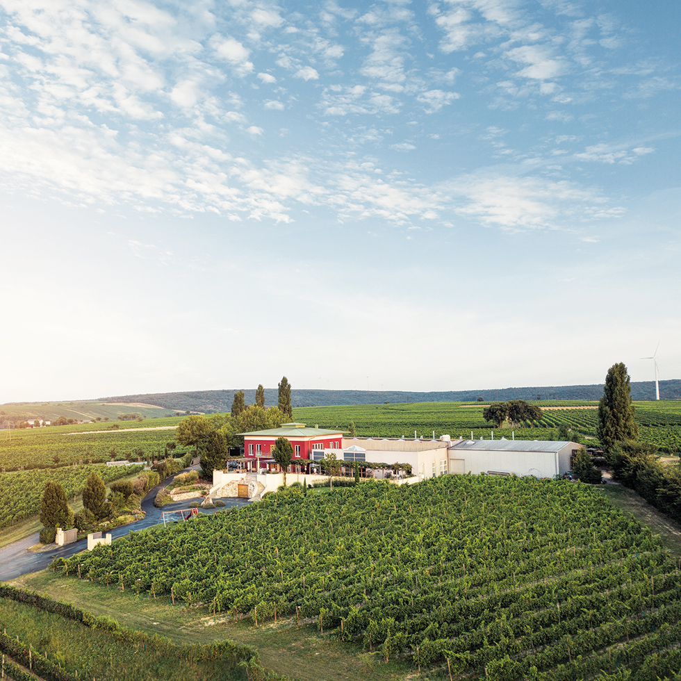 Das Château des Weingut K+K Kirnbauer thront über den Weinbergen rund um Deutschkreutz