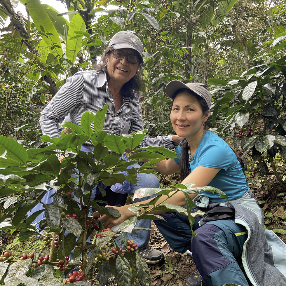 Anyela Olivera Torres de Spuller besucht Landwirtinnen von „Café Femenino“, die ausschließlich in Mischkulturen anbauen. Mit ihrer Marke „Punto Rojo“ möchte sie in Österreich Bewusstsein für den guten aromatischen Kaffee aus Peru schaffen.