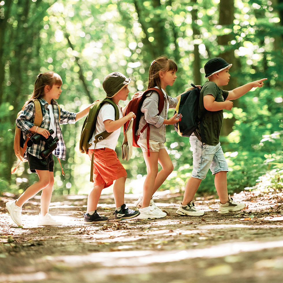 Gehen zur Seite. Kinder im Wald an einem Sommertag zusammen.