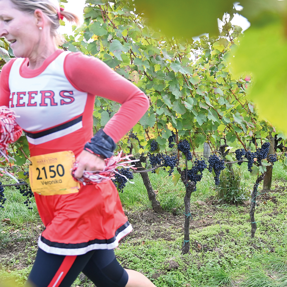 Blaufränkischland Marathon: Läuferin mit Startnummer am Trikot läuft durch einen Weinberg mit roten Weintrauben