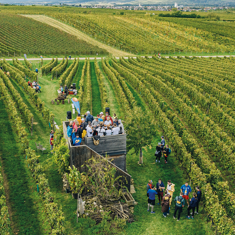 Blaufränkischland Marathon: Burgenländisches Weinland mit Gruppen von Leuten mit einem Weinglas in der Hand