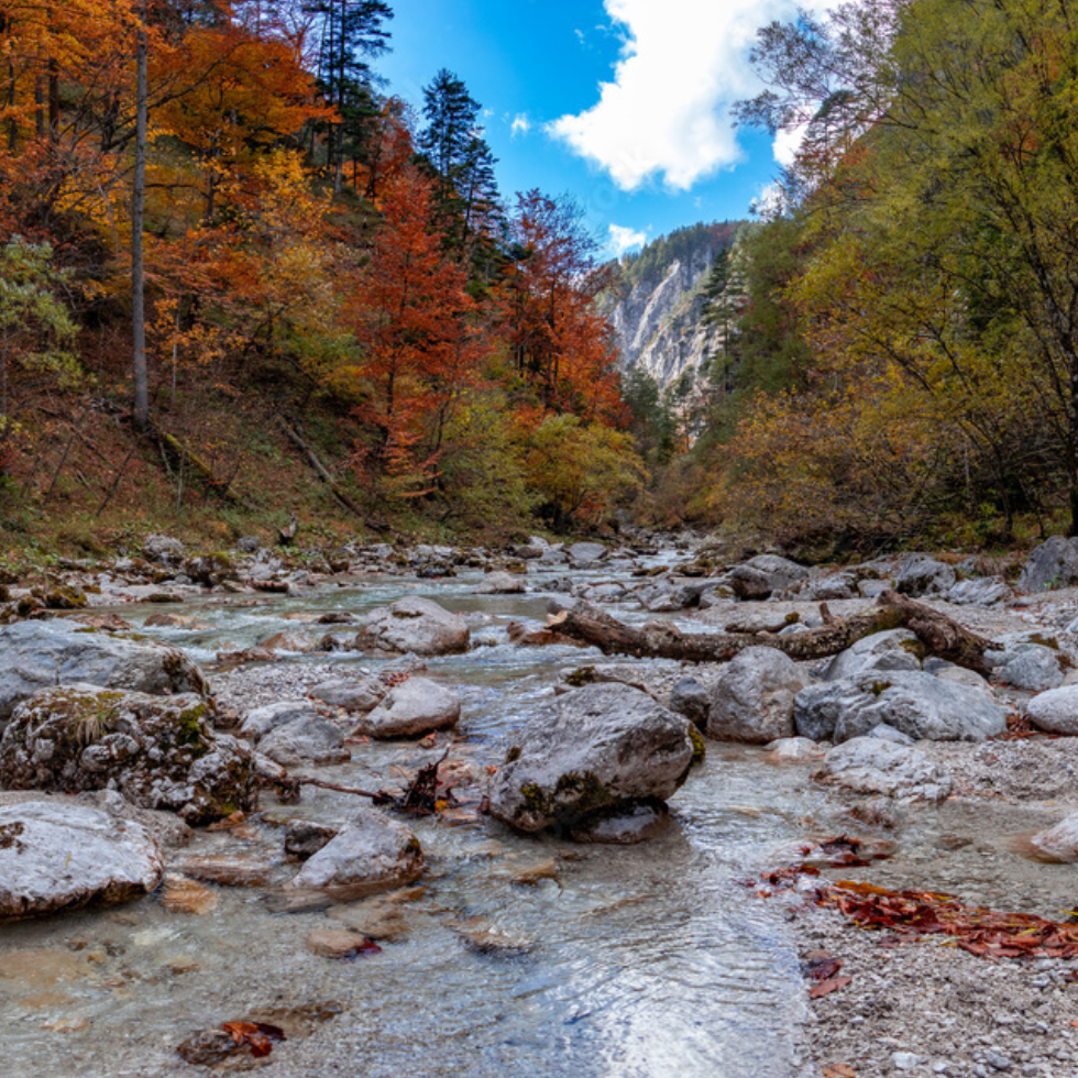 Wanderung Ötschergräben
