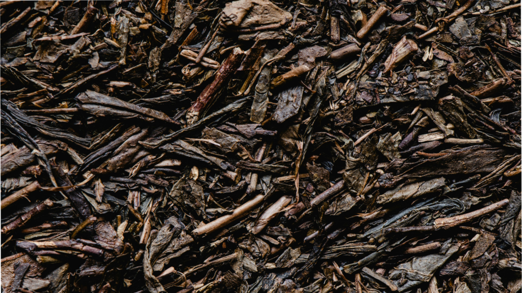Braune geröstete Teestängel (Hojicha)