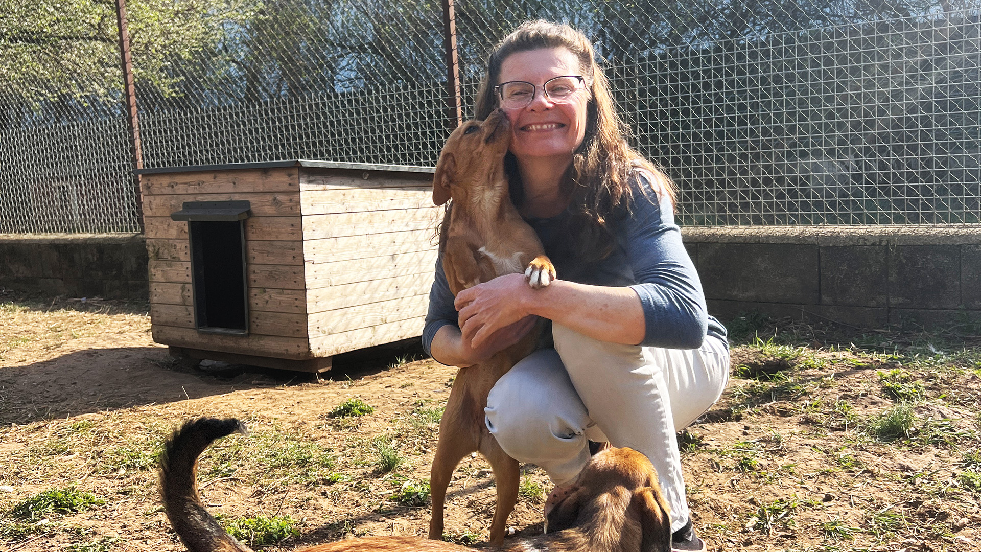 Tierheim: Frau kniet und wird von Hund im Gehege umarmt