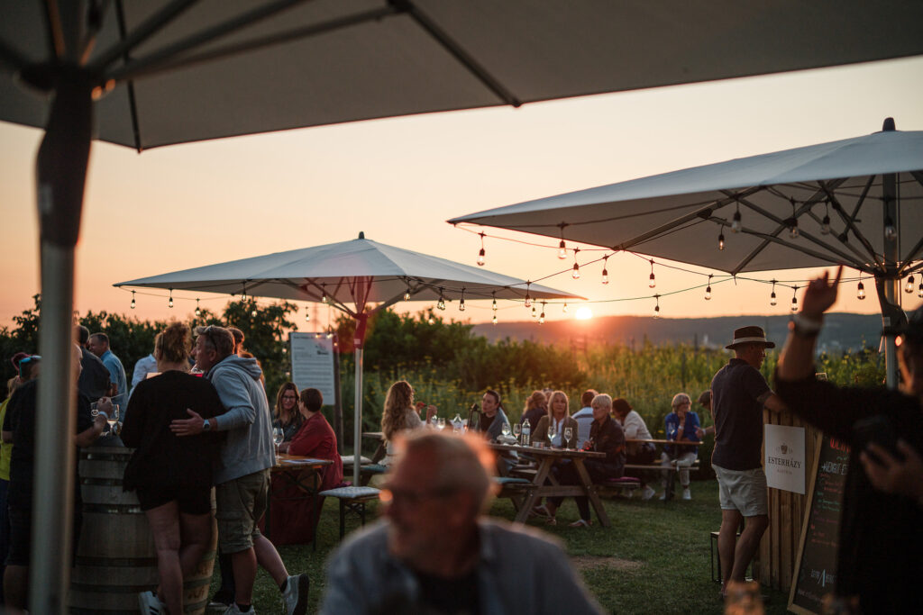 Was ist los: Sommerabend mit Gästen, Musik und entspannter Stimmung bei einem Outdoor-Event im Weinberg.