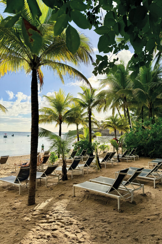 Mauritius: Palmen, Liegestühle und feiner Sandstrand in einer tropischen Badebucht auf Mauritius.