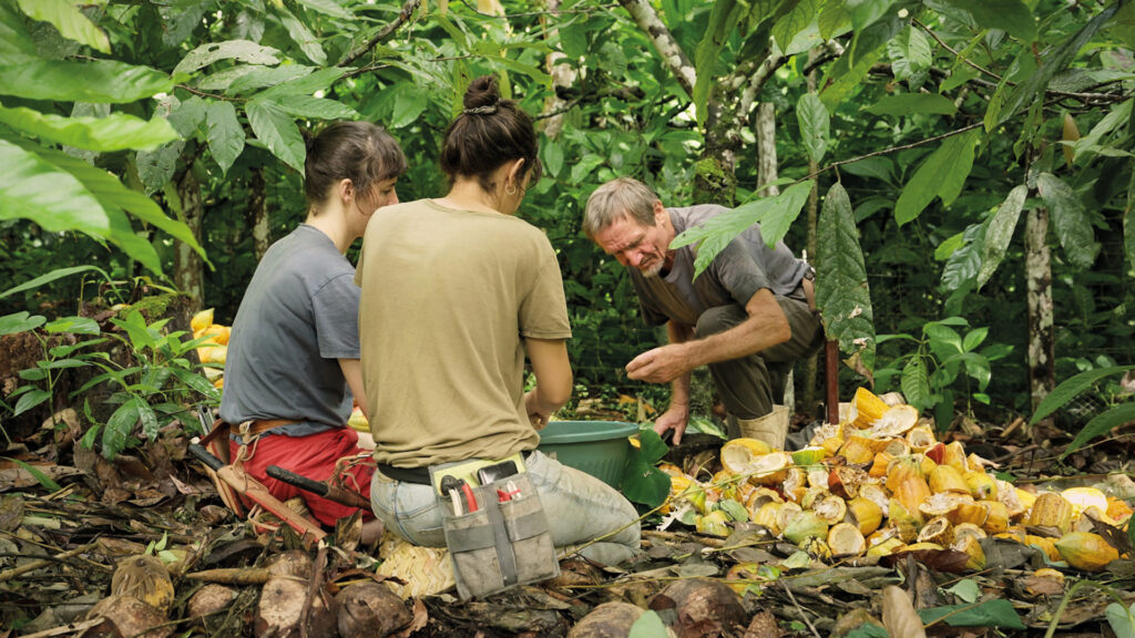 Erwin Wagenhofer: Menschen bei der Arbeit mit Kakaofrüchten inmitten üppiger tropischer Vegetation.