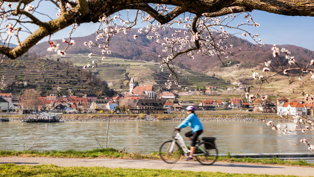 Alleinreisen in der Wachau: Radfahrerin an der Donau vor Weinbergen und historischem Ortskern.