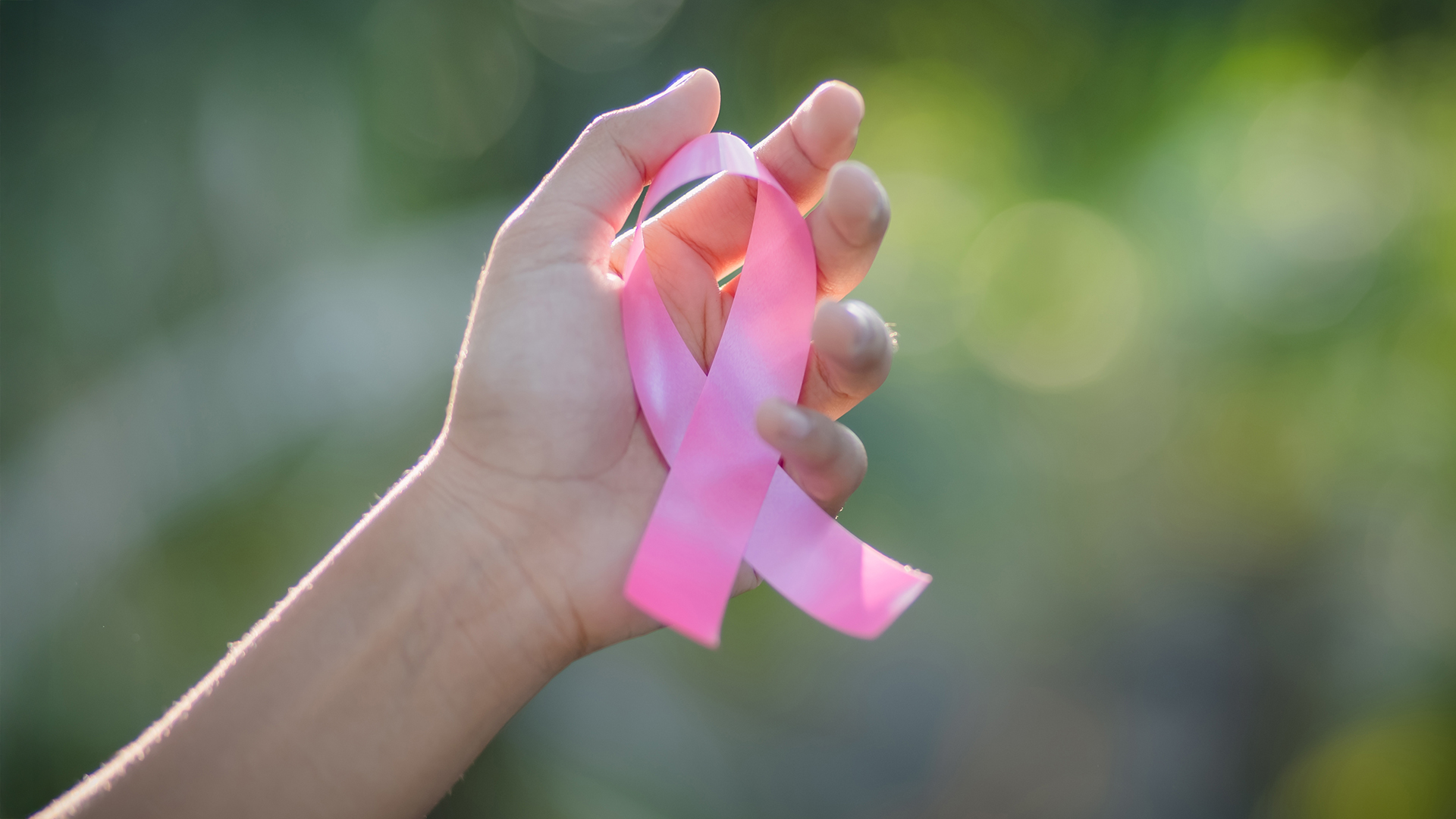 Pink Ribbon: Hand hält die rosa Schleife als internationales Symbol für Brustkrebs und Brustkrebsvorsorge.